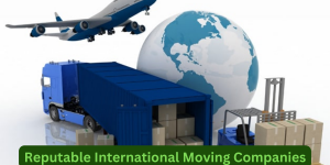 Reputable International Moving Companies
