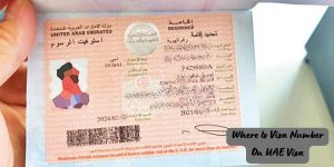 Where Is Visa Number On UAE Visa